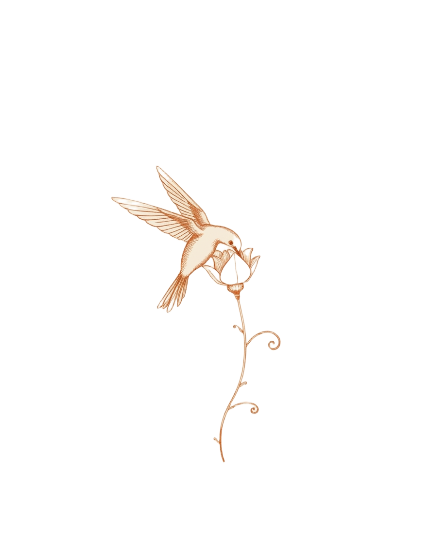 Ceremony — The Session
