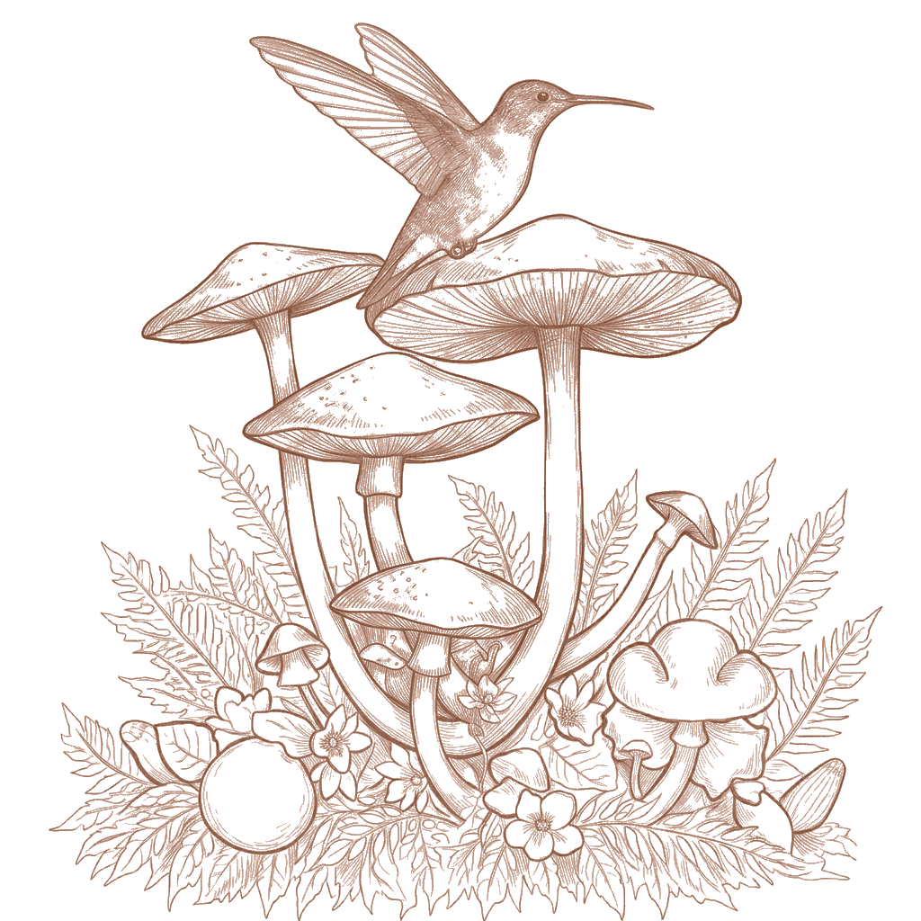 A hummingbird landing on a cluster of wild mushrooms among ferns and flowers